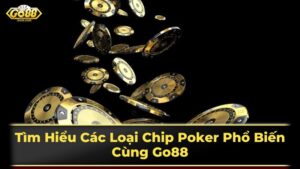 Lô Cảm PG88 – Hình Thức Cá Cược Xổ Số Thú Vị Khai Thác Những Cơ Hội Đặc Biệt Trong Thị Trường Việt Nam
